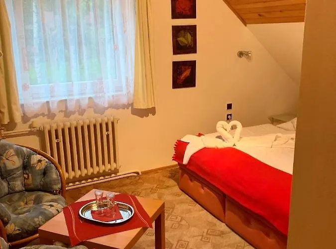 Vanessa Gasthuis Lipová-lázně